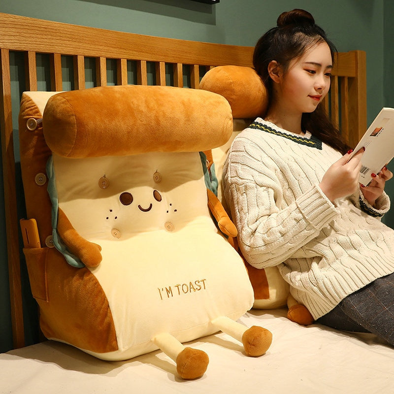 Toasty Plush Cushion