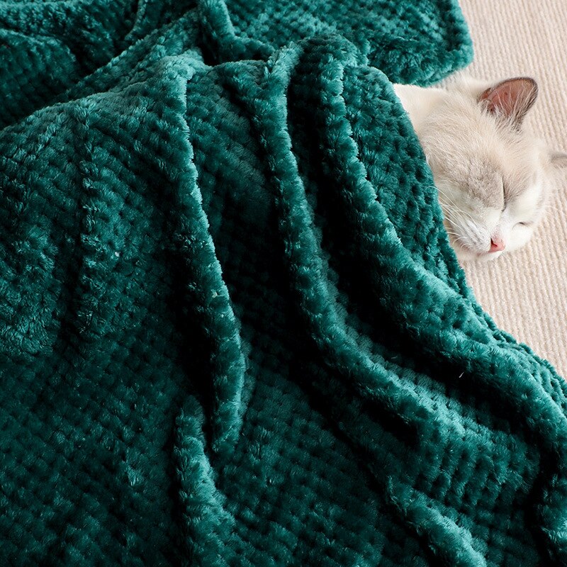Fluffy Soft Blankets
