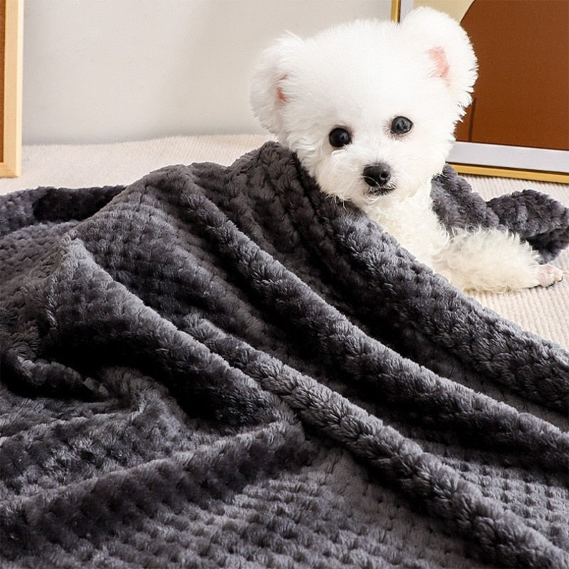 Fluffy Soft Blankets