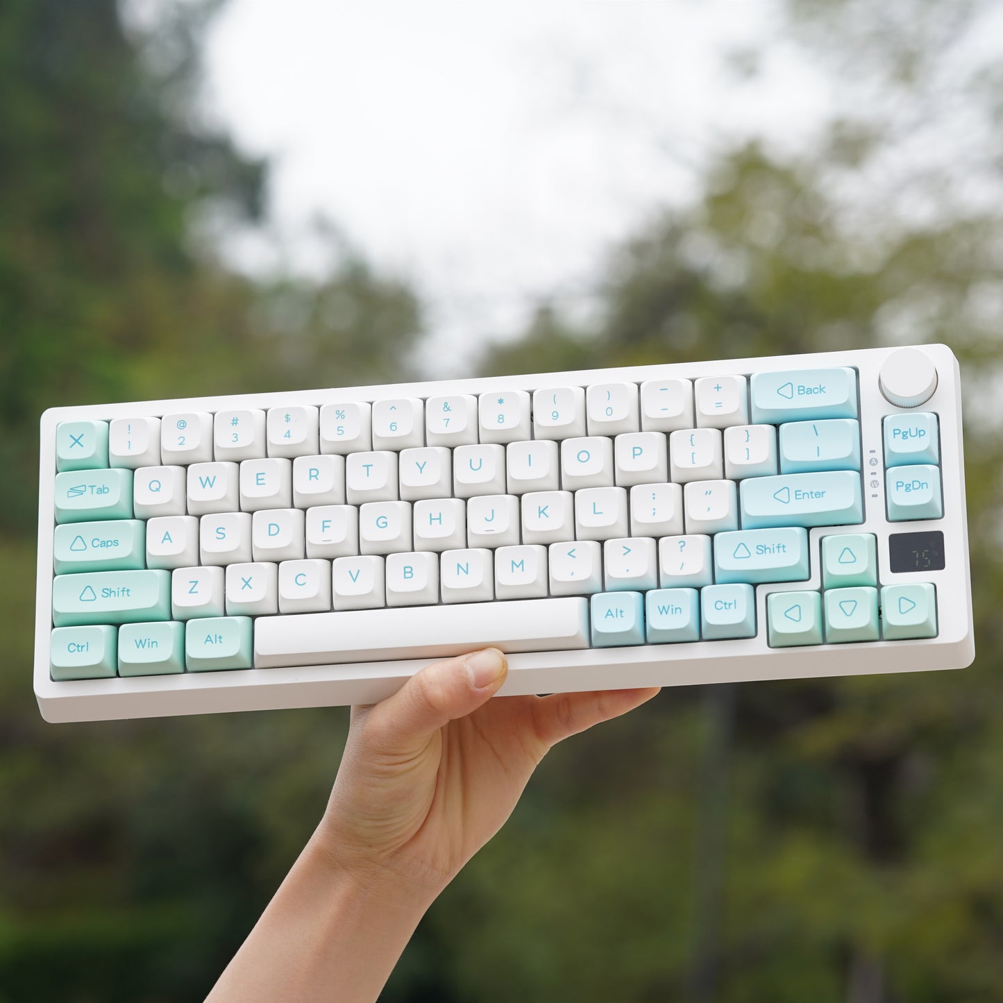 Cute RGB Backlit Wireless Keyboard